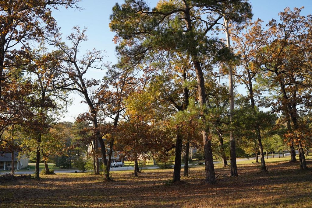 26 Hillsborough Drive, Huntsville, TX 77340