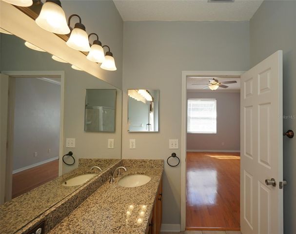 14330 MOON FLOWER DRIVE, Tampa, FL 33626