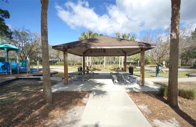 14330 MOON FLOWER DRIVE, Tampa, FL 33626