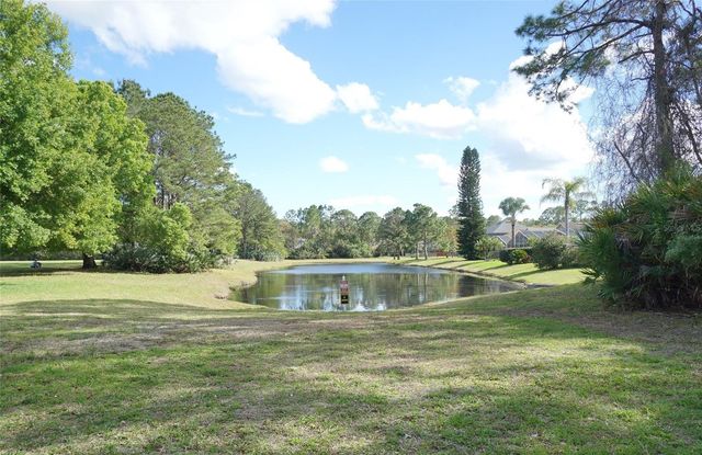 14330 MOON FLOWER DRIVE, Tampa, FL 33626