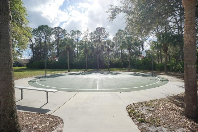 14330 MOON FLOWER DRIVE, Tampa, FL 33626