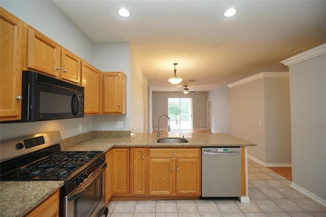 14330 MOON FLOWER DRIVE, Tampa, FL 33626