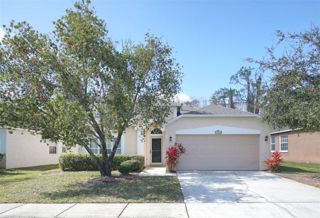 14330 MOON FLOWER DRIVE, Tampa, FL 33626