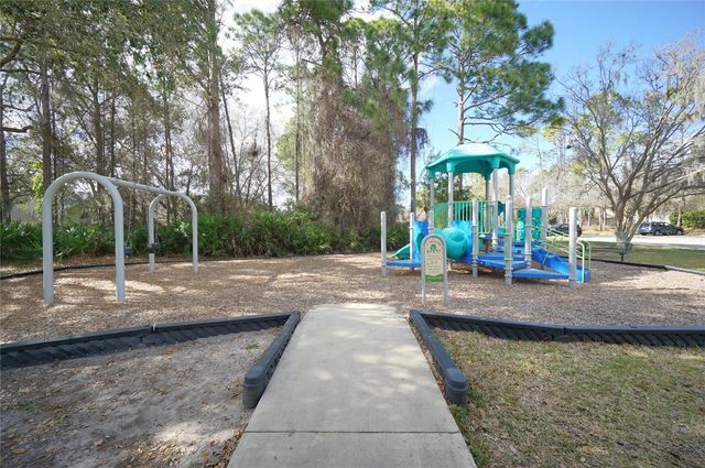 14330 MOON FLOWER DRIVE, Tampa, FL 33626