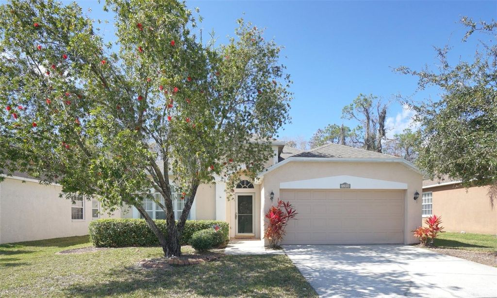 14330 MOON FLOWER DRIVE, Tampa, FL 33626