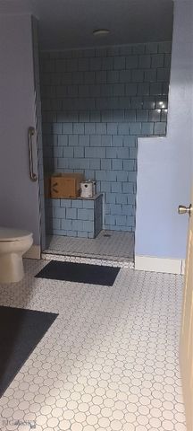 309 Bear Paw Trail, Anaconda, MT 59711