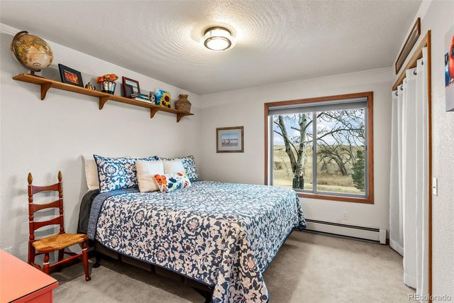 45612 Cottonwood Hills Drive, Parker, CO 80138