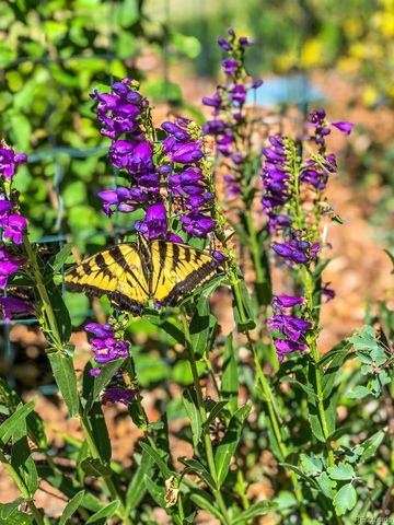 45612 Cottonwood Hills Drive, Parker, CO 80138