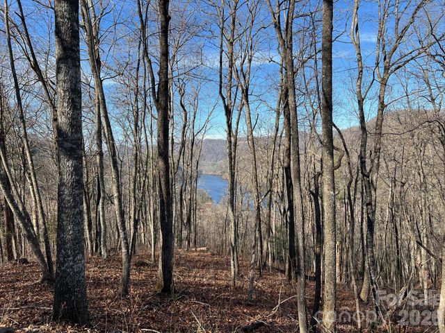 762 Scarlet Oak Road, Tuckasegee, NC 28783