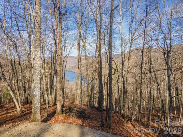 762 Scarlet Oak Road, Tuckasegee, NC 28783
