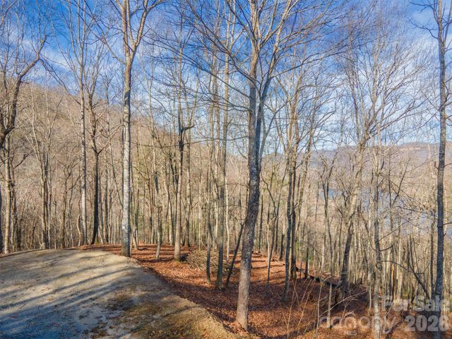 762 Scarlet Oak Road, Tuckasegee, NC 28783