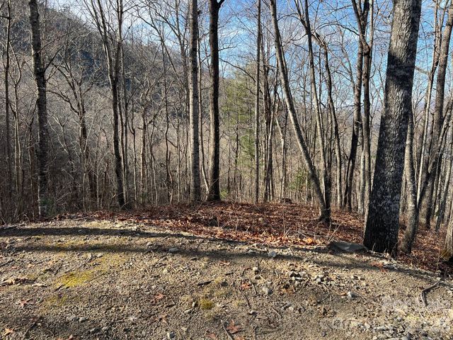 762 Scarlet Oak Road, Tuckasegee, NC 28783