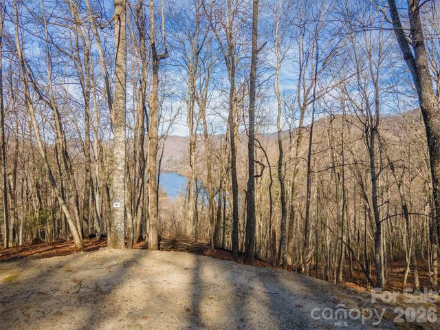 762 Scarlet Oak Road, Tuckasegee, NC 28783