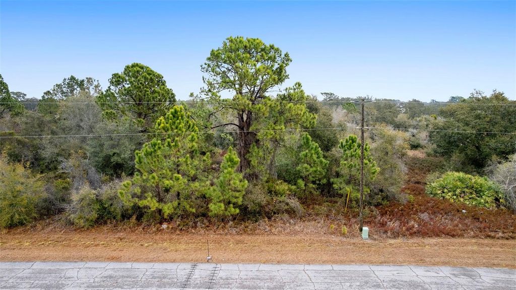 1519 MEDITERRANEAN DRIVE, Poinciana, FL 34759