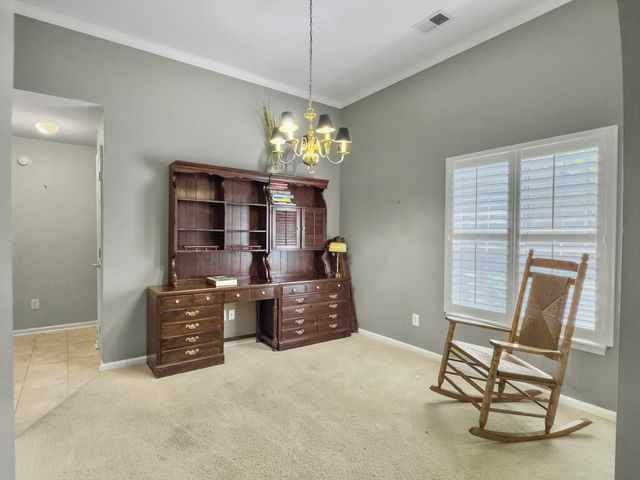 1239 Wild Olive Drive, Mount Pleasant, SC 29464