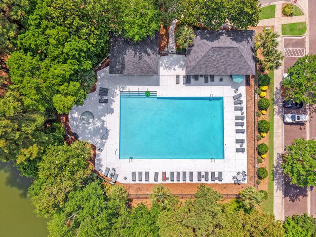 1239 Wild Olive Drive, Mount Pleasant, SC 29464