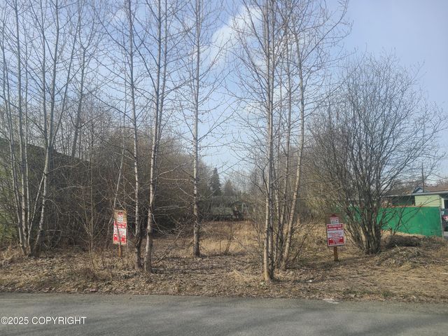 L5 Fairbanks Street, Anchorage, AK 99503