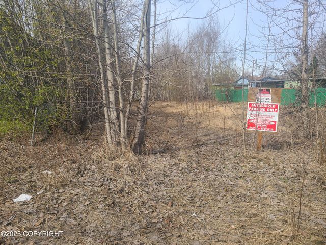 L5 Fairbanks Street, Anchorage, AK 99503