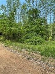 Arabian Drive, Rogers, AR 72756