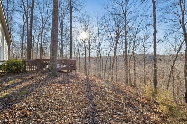 394 Heron Ridge Ct, Clarksville, TN 37040