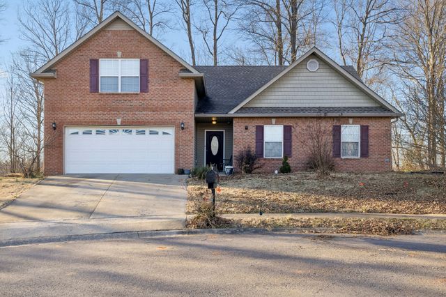 394 Heron Ridge Ct, Clarksville, TN 37040