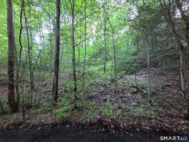 33 Davis Road, Harwinton, CT 06791