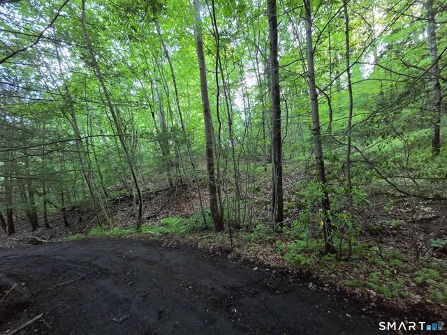 33 Davis Road, Harwinton, CT 06791