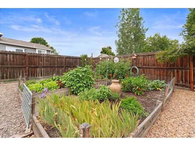 3937 Stampede Dr, Evans, CO 80620