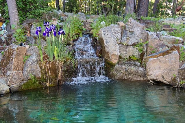 17452 Lake Vera Purdon Rd, Nevada City, CA 95959