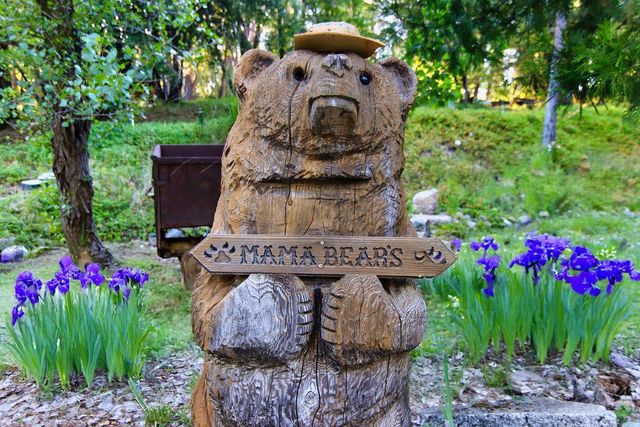 17452 Lake Vera Purdon Rd, Nevada City, CA 95959