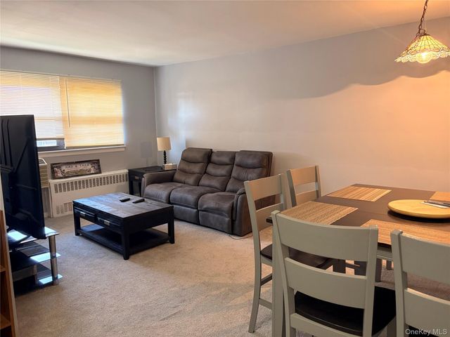 25 Elizabeth Street 3A, Farmingdale, NY 11735