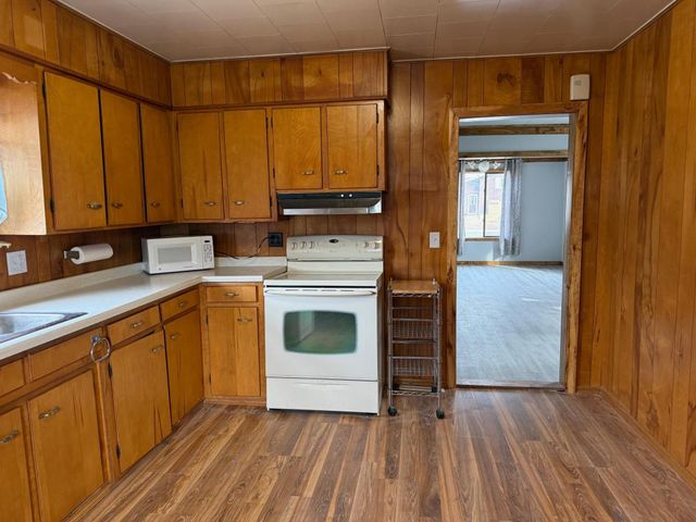 173 Main Street N, Blackduck, MN 56630