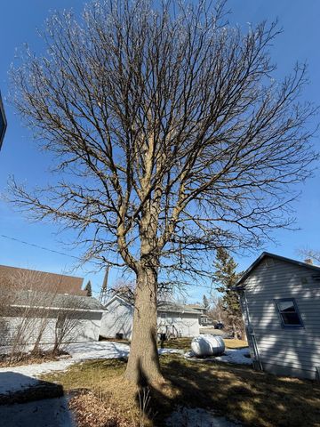 173 Main Street N, Blackduck, MN 56630