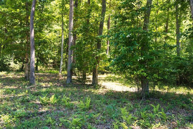 Lot 35 Hidden Harbor, Blairsville, GA 30512