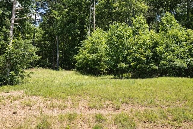 Lot 35 Hidden Harbor, Blairsville, GA 30512