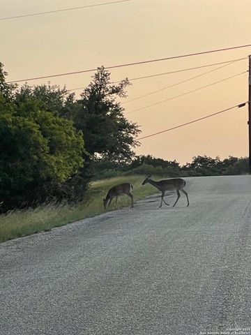 276 Oak Vista, New Braunfels, TX 78132