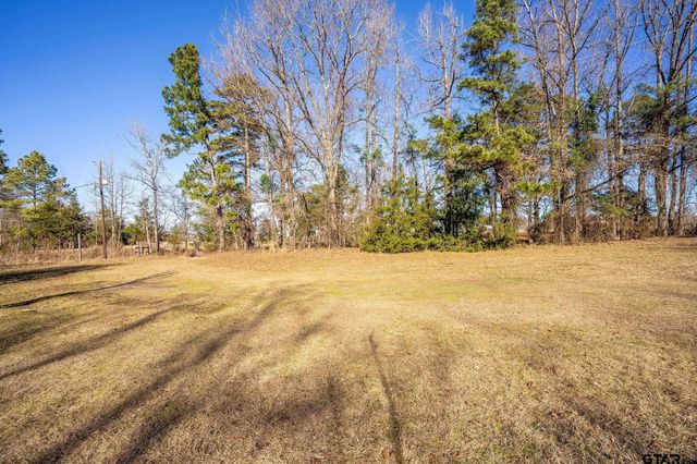 8439 Hyena RD, Gilmer, TX 75644