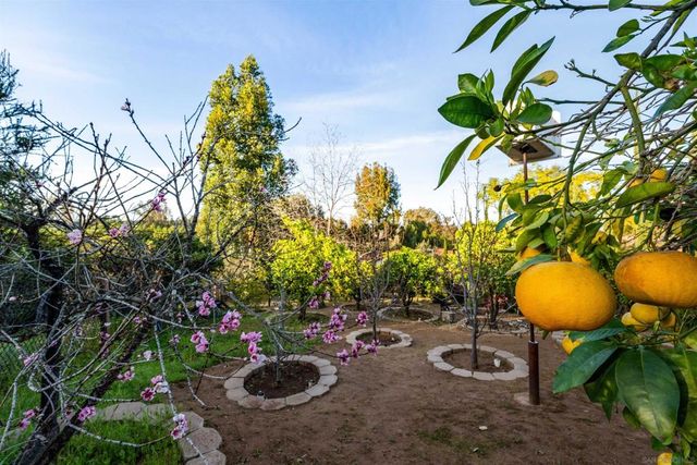 352 Calle Bonita, Escondido, CA 92029