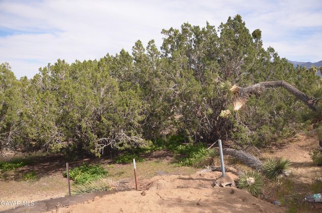 Vic Avenue 24 Longview, Juniper Hills, CA 93543
