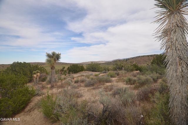 Vic Avenue 24 Longview, Juniper Hills, CA 93543