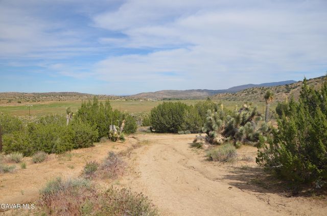 Vic Avenue 24 Longview, Juniper Hills, CA 93543