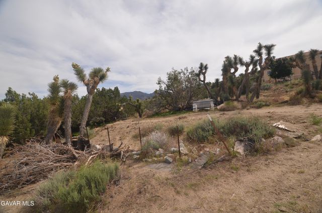Vic Avenue 24 Longview, Juniper Hills, CA 93543