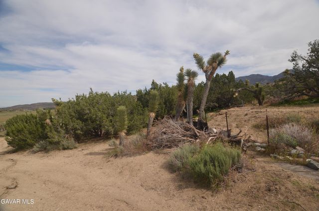 Vic Avenue 24 Longview, Juniper Hills, CA 93543