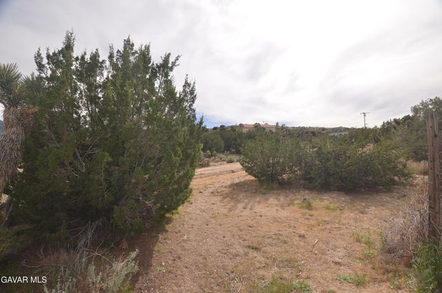 Vic Avenue 24 Longview, Juniper Hills, CA 93543