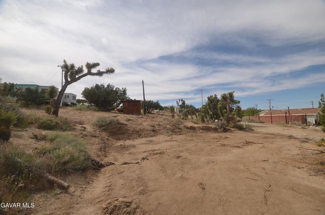 Vic Avenue 24 Longview, Juniper Hills, CA 93543