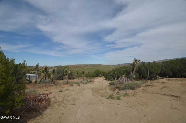 Vic Avenue 24 Longview, Juniper Hills, CA 93543