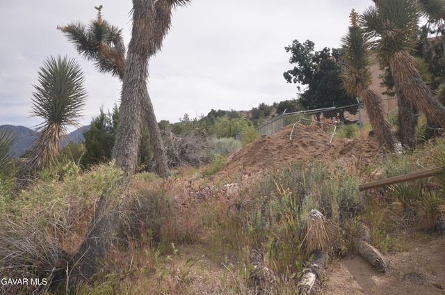 Vic Avenue 24 Longview, Juniper Hills, CA 93543