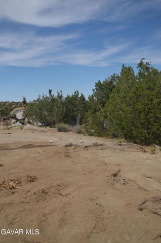 Vic Avenue 24 Longview, Juniper Hills, CA 93543