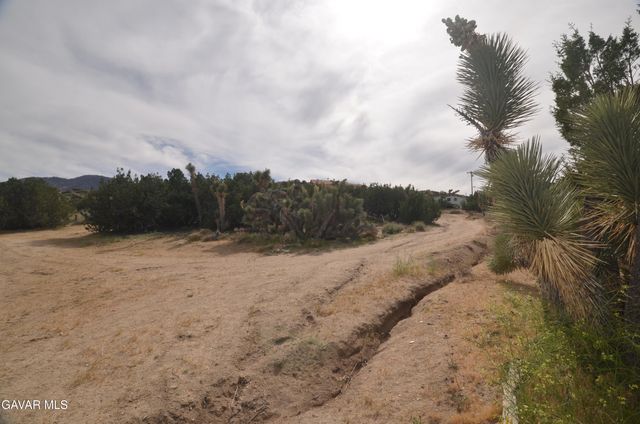Vic Avenue 24 Longview, Juniper Hills, CA 93543