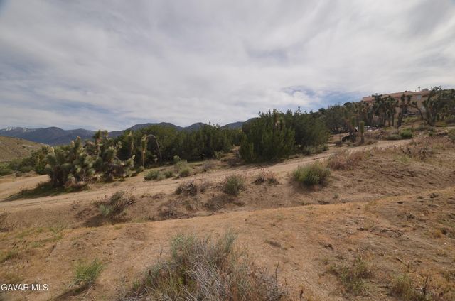 Vic Avenue 24 Longview, Juniper Hills, CA 93543